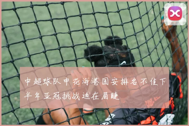 中超球队申花海港国安排名不佳下半年亚冠挑战迫在眉睫