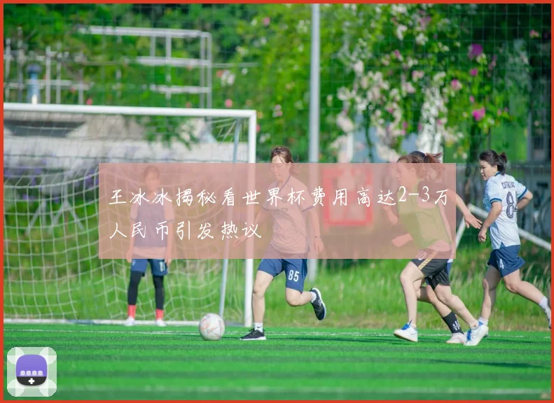 王冰冰揭秘看世界杯费用高达2-3万人民币引发热议