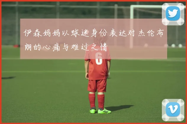 伊森妈妈以球迷身份表达对杰伦布朗的心痛与难过之情