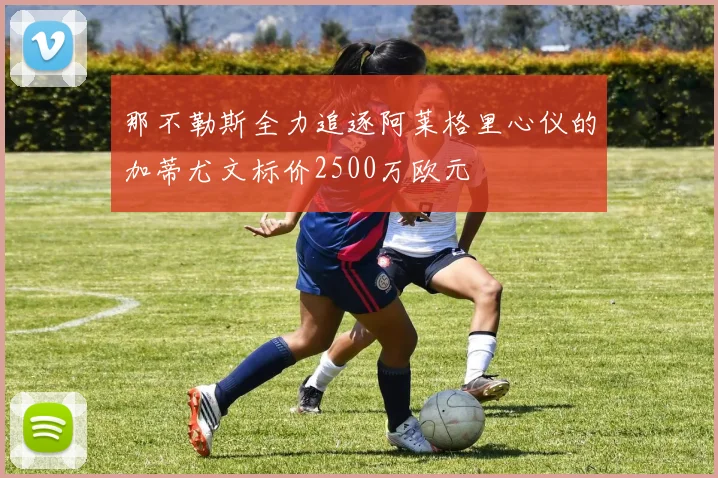 那不勒斯全力追逐阿莱格里心仪的加蒂尤文标价2500万欧元