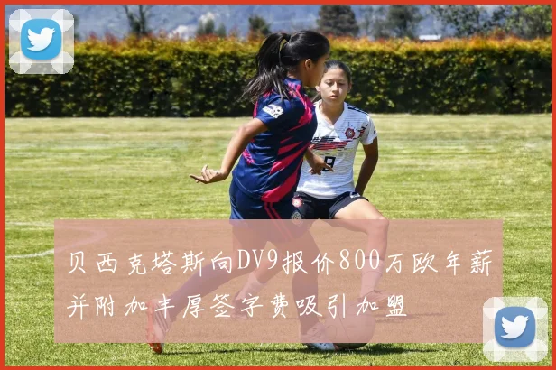 贝西克塔斯向DV9报价800万欧年薪并附加丰厚签字费吸引加盟